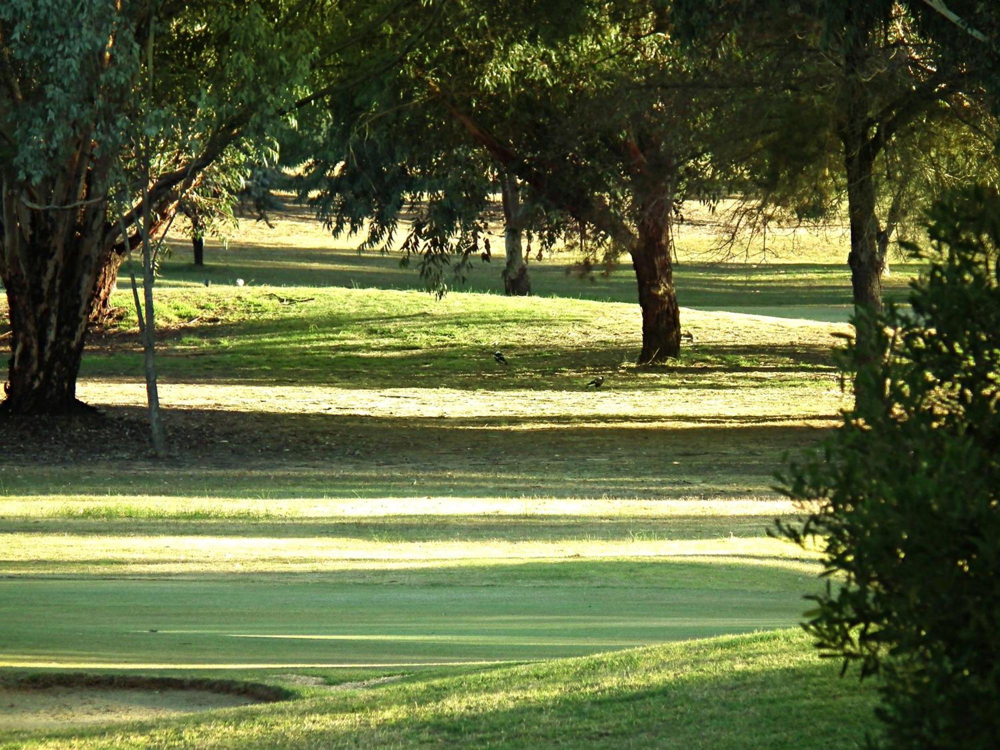 Cobram Barooga Golf Resort Bilik gambar